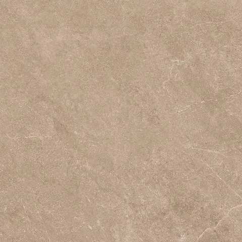 PULSE BROWN view 4